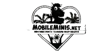 Mobile Minis